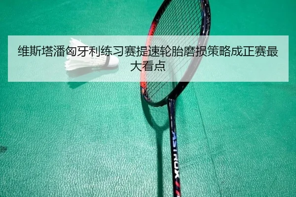 维斯塔潘匈牙利练习赛提速轮胎磨损策略成正赛最大看点